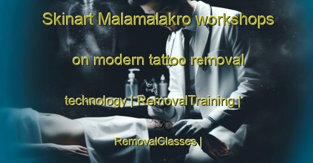 Skinart Malamalakro workshops on modern tattoo removal technology | RemovalTraining | RemovalClasses | SkinartTraining-Côte d Ivoire